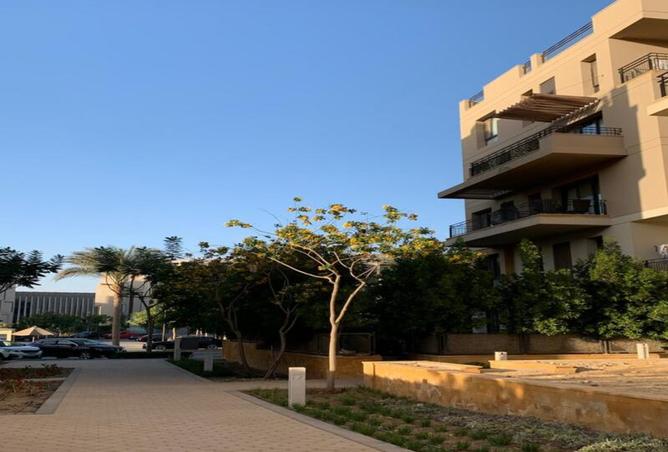 8159586 - صورة العقار 3