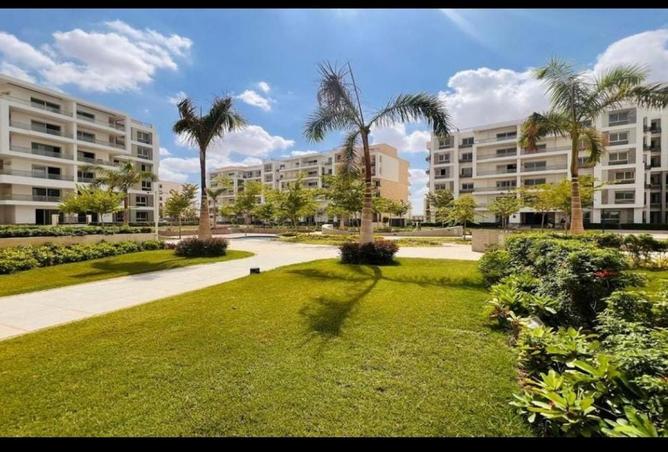 8049466 - Property Image 3
