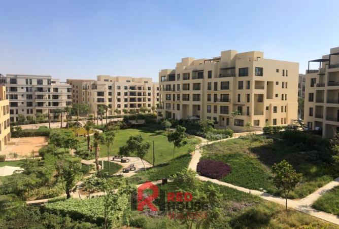 8403497 - صورة العقار 2