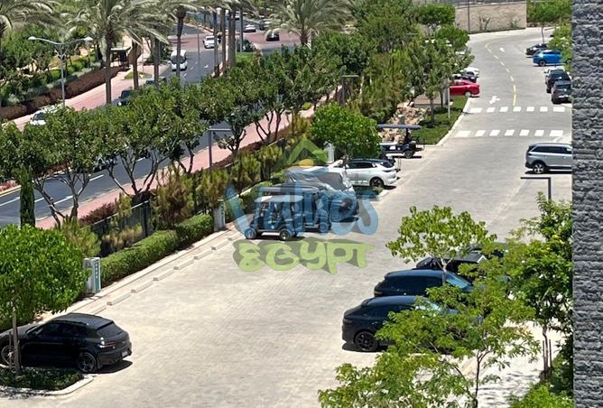 8195276 - Property Image 3