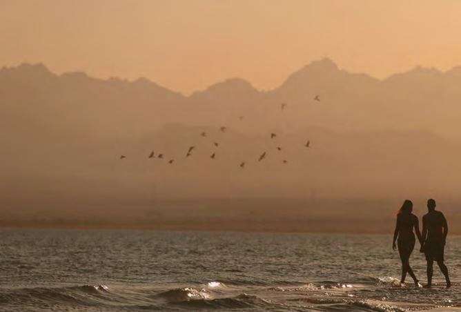 8421266 - Property Image 3