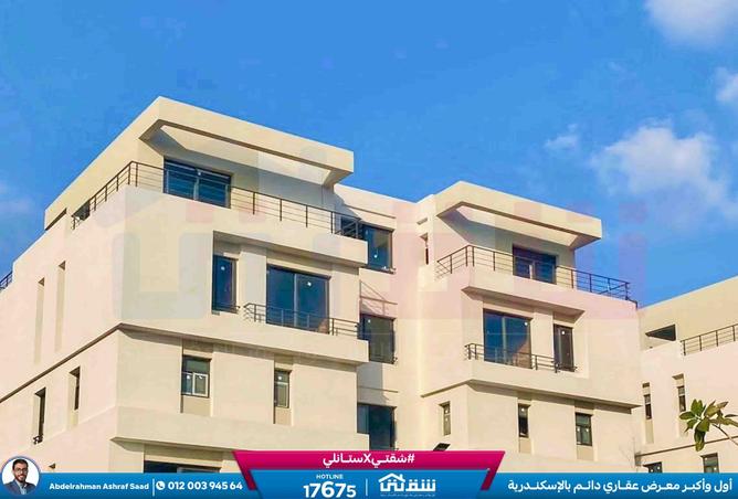 8299559 - Property Image 3