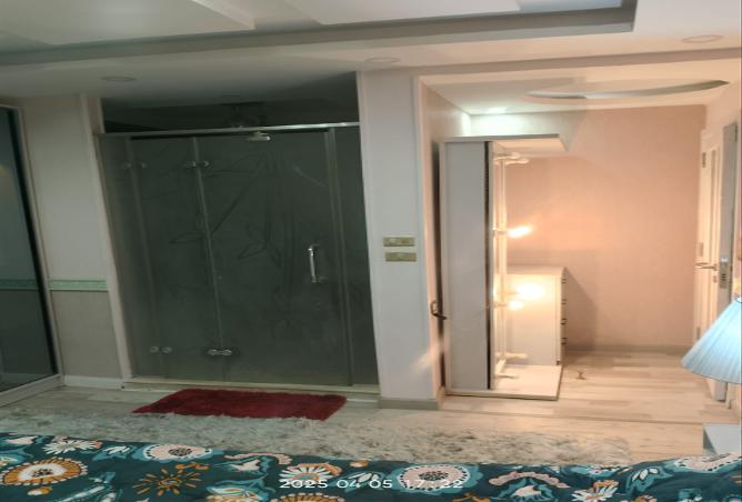 7984854 - Property Image 3