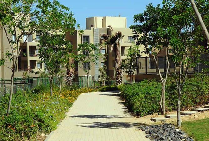 7977213 - الصورة الرئيسية للعقار