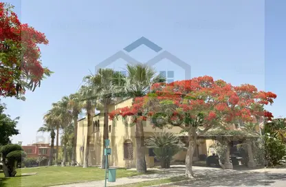 تاون هاوس - 3 غرف نوم - 4 حمامات للايجار في بالم هيلز أكتوبر - طريق مصر اسكندرية الصحراوي - مدينة 6 أكتوبر - الجيزة