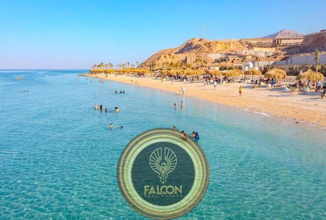 8433588 - صورة العقار 3