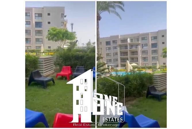 8340561 - Property Image 3