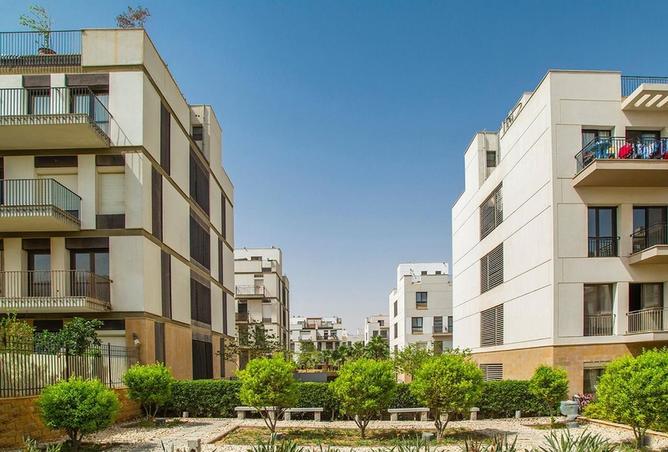 7981381 - صورة العقار 2