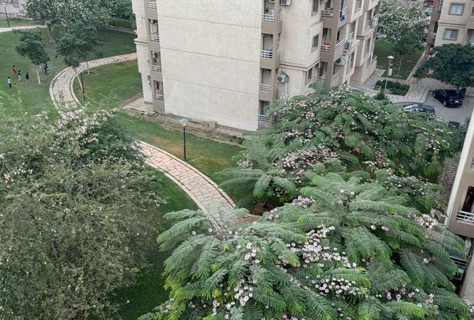 8448096 - الصورة الرئيسية للعقار