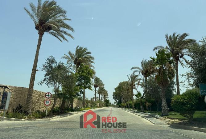 7914783 - صورة العقار 2