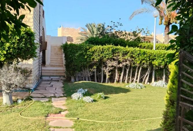 7940874 - صورة العقار 2