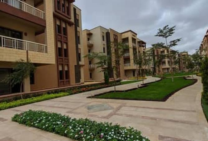 8119628 - Property Image 3