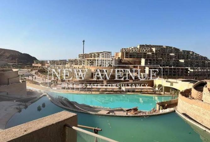 8373582 - Property Image 3