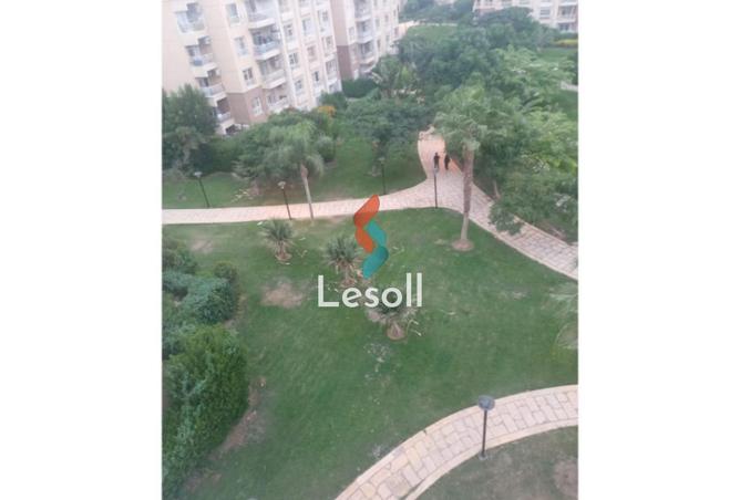 8174317 - صورة العقار 3