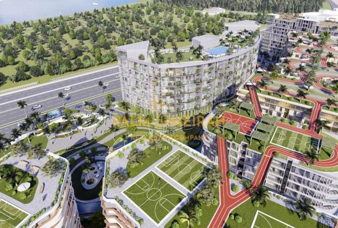 7988616 - صورة العقار 2