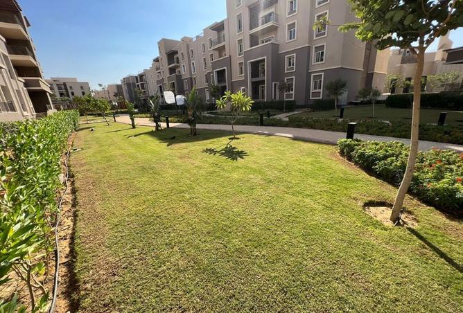 8204890 - صورة العقار 3