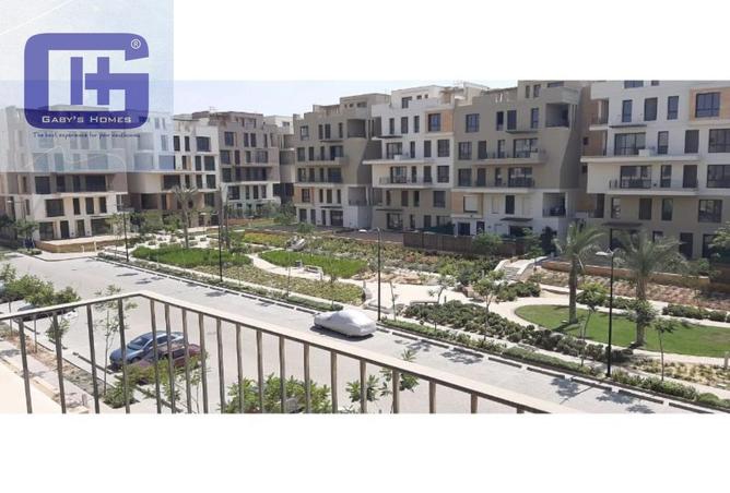8033948 - صورة العقار 2