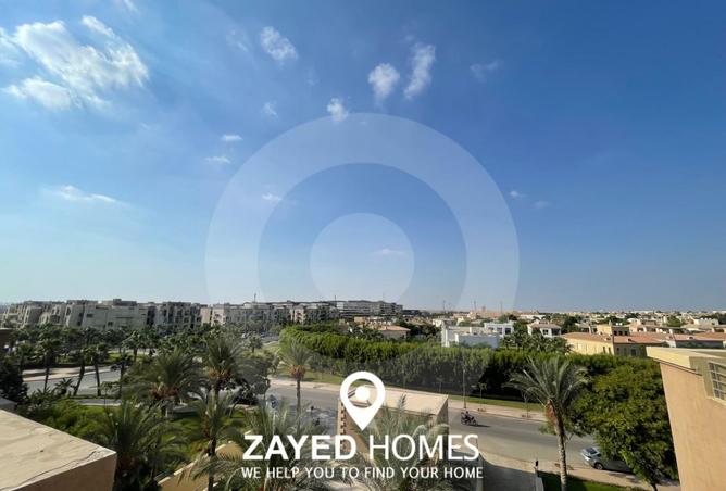8073187 - Property Image 3