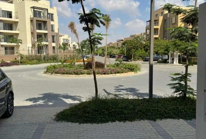 8341274 - Property Image 3