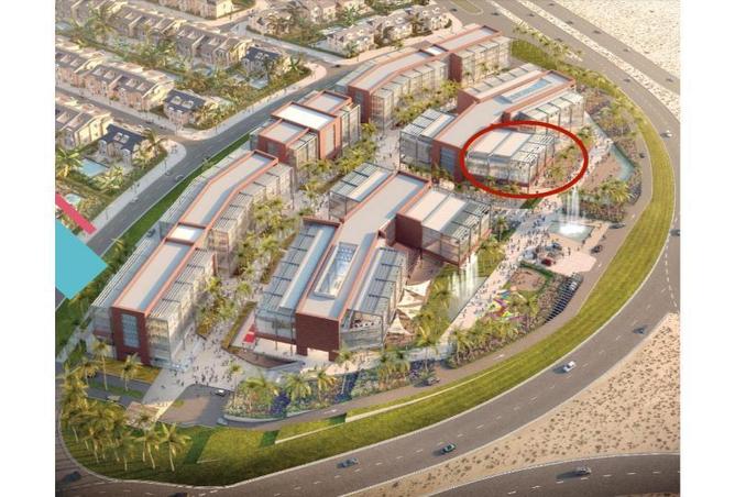 8144856 - Property Image 3