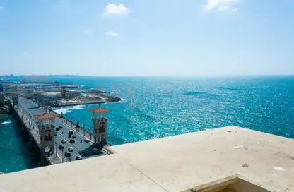 Apartment - 3 Bedrooms - 3 Bathrooms for sale in Stanley - Hay Sharq - Alexandria