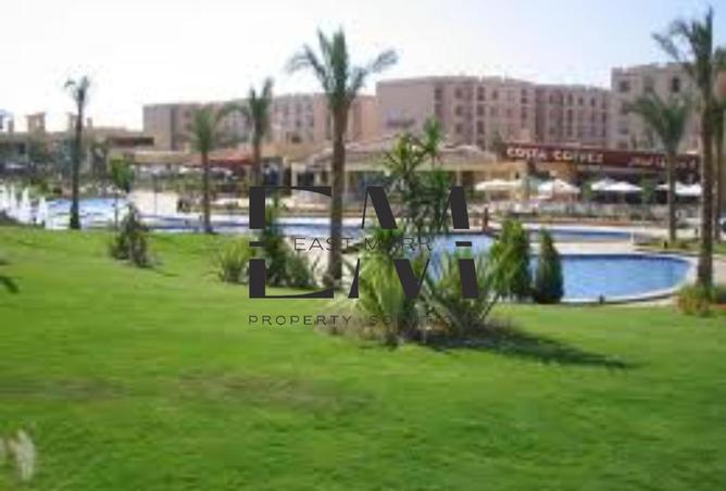 8035362 - صورة العقار 3