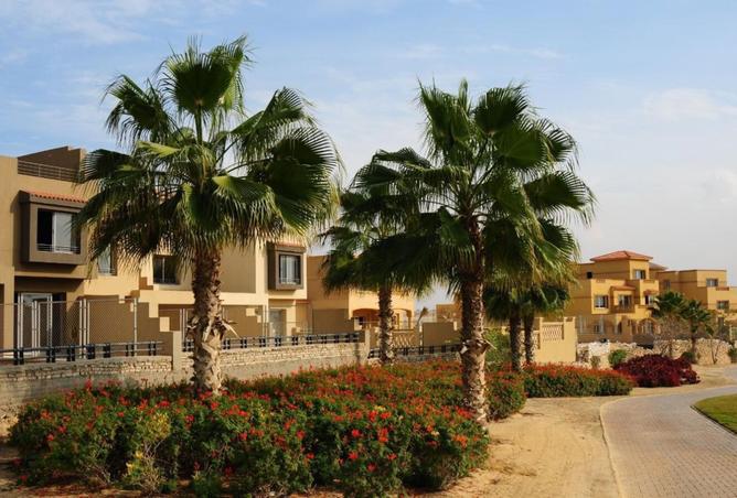 8435852 - صورة العقار 3