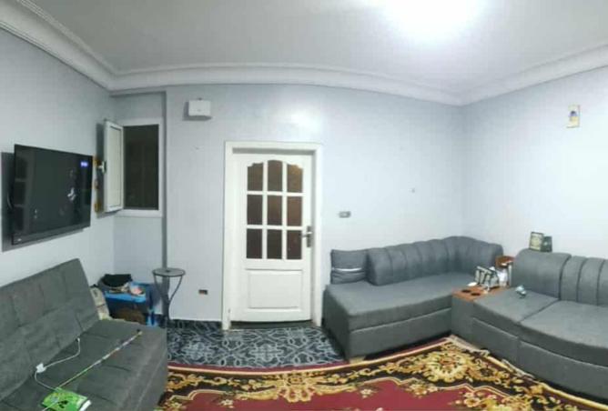 8303378 - صورة العقار 3