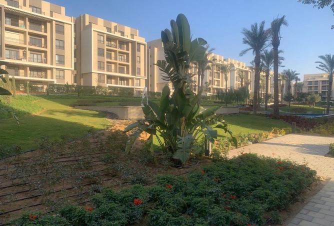 8485081 - صورة العقار 2