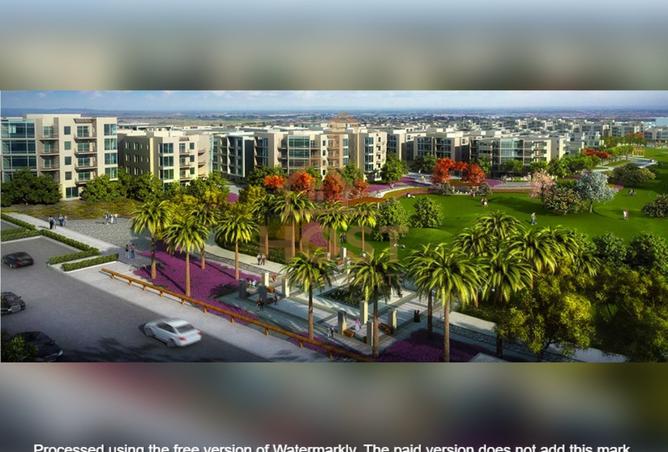 8155121 - Property Image 3