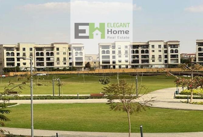 8351344 - Property Image 3