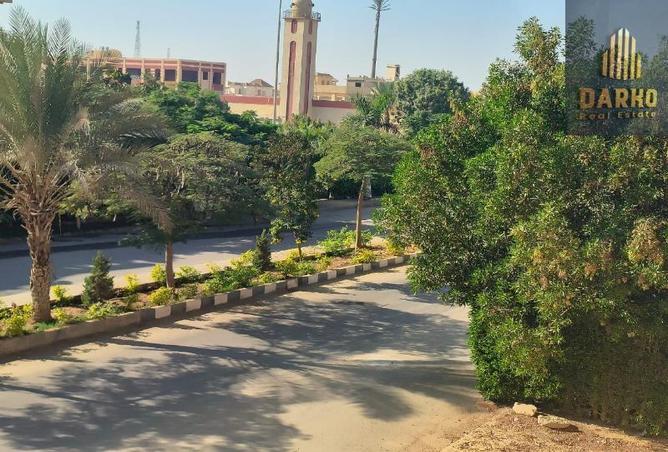 8338469 - صورة العقار 3