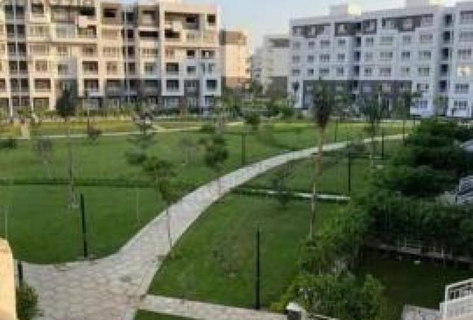 8156265 - الصورة الرئيسية للعقار