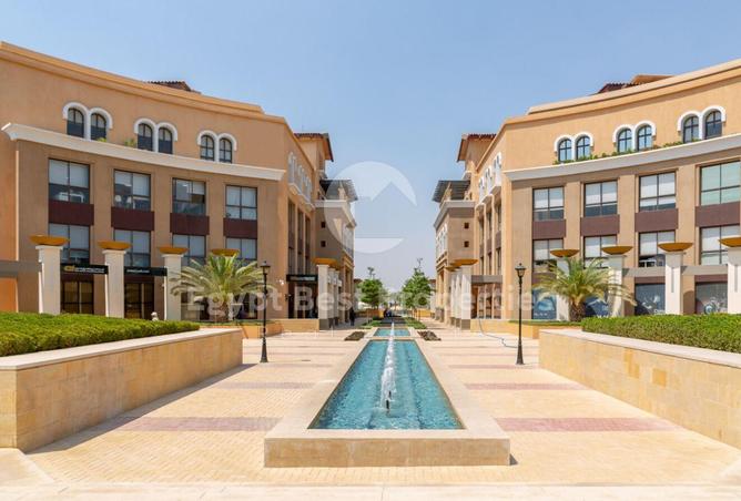 8118052 - Property Image 3