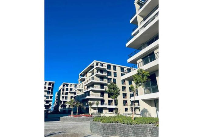 8441667 - Property Image 2