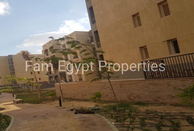 8418881 - Property Image 2