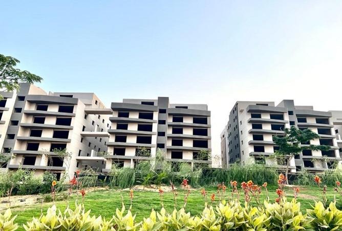 8140864 - Property Image 3