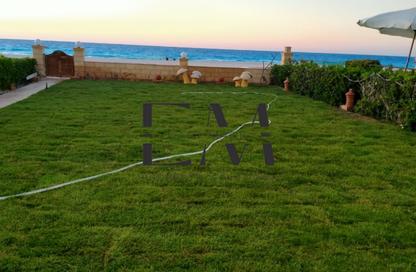 Chalet - 3 Bedrooms - 2 Bathrooms for rent in Badr Village - Al Alamein - North Coast