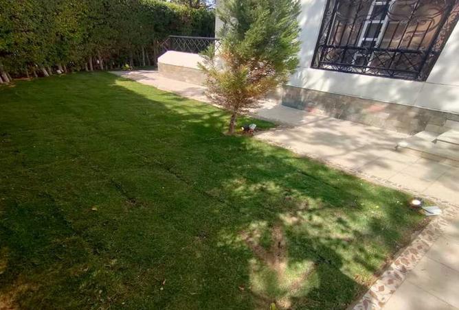 8195438 - Property Image 3