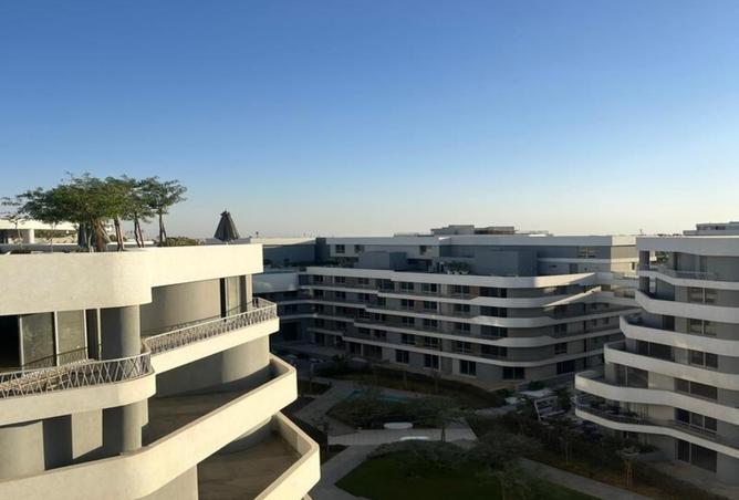 8437001 - Property Image 3