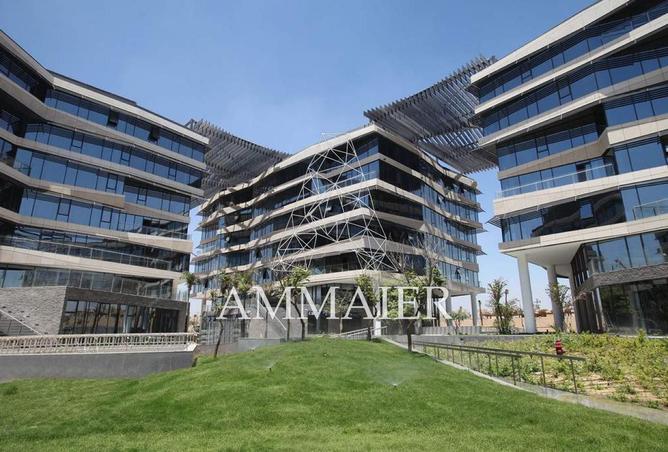 8394876 - Property Image 2