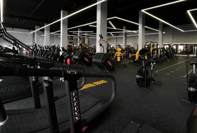 8554020 - Property Image 3