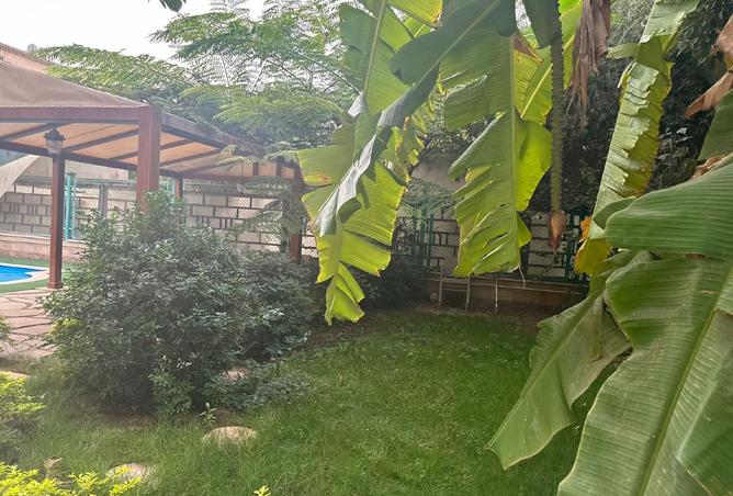 8398735 - صورة العقار 3