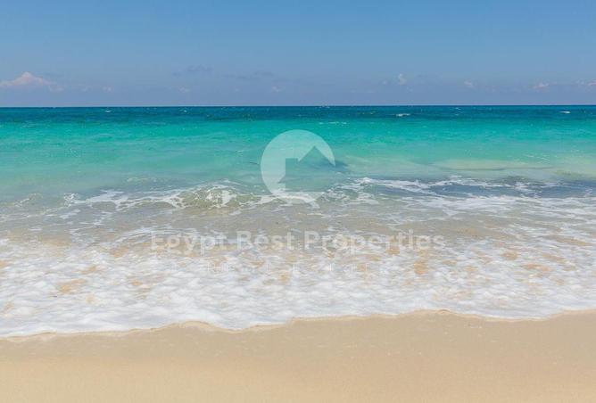7925361 - الصورة الرئيسية للعقار