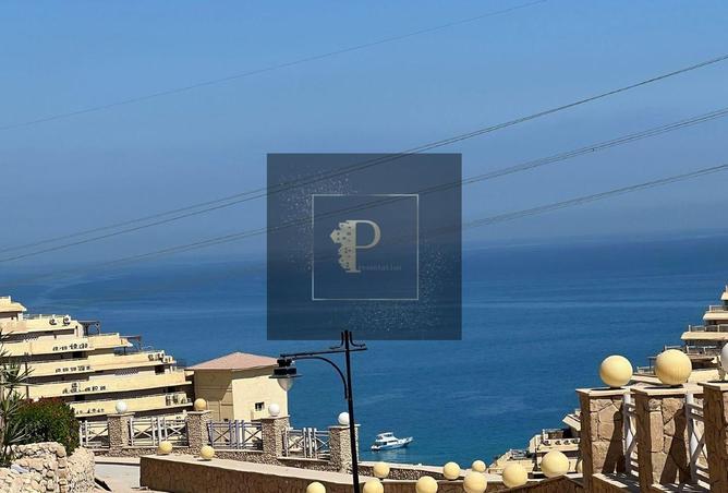 8177984 - صورة العقار 3