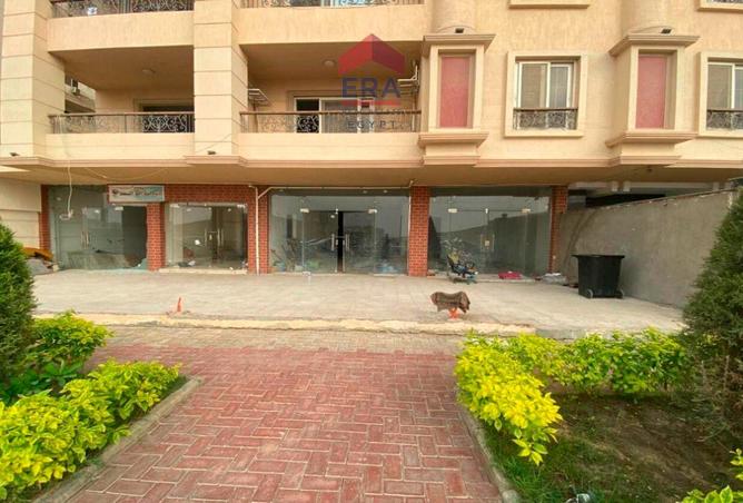 7888382 - Property Image 3