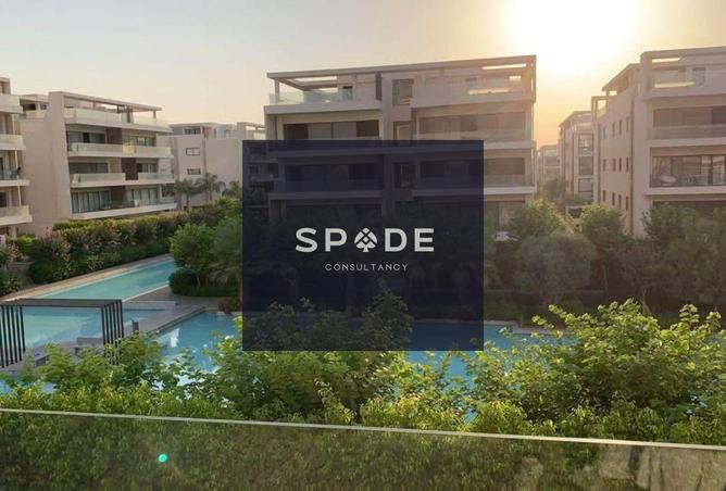 8501825 - Property Image 2