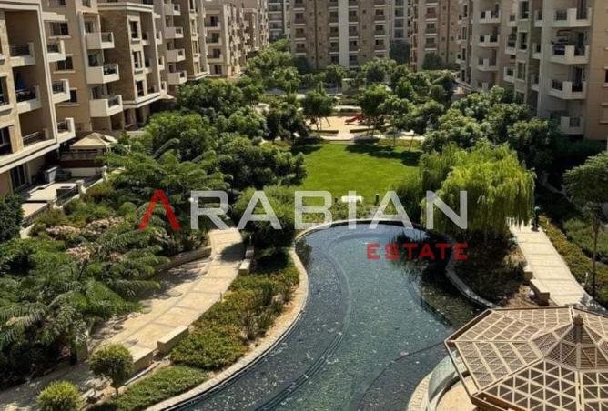 8216842 - Property Image 2