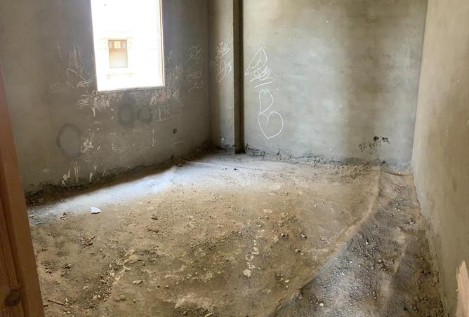 8238313 - Property Image 3