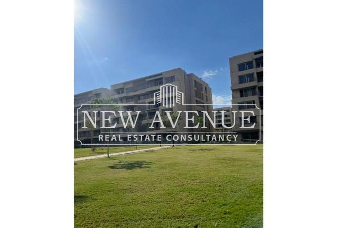 8237043 - Property Image 3